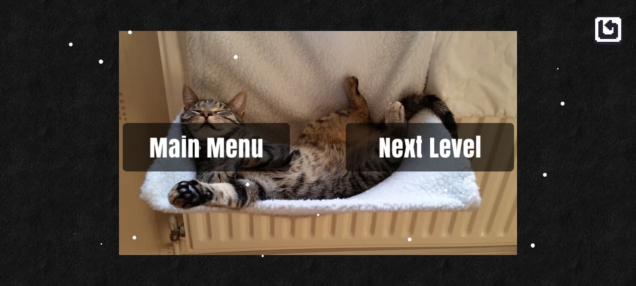 Cazzle - Sleeping Cat Puzzles