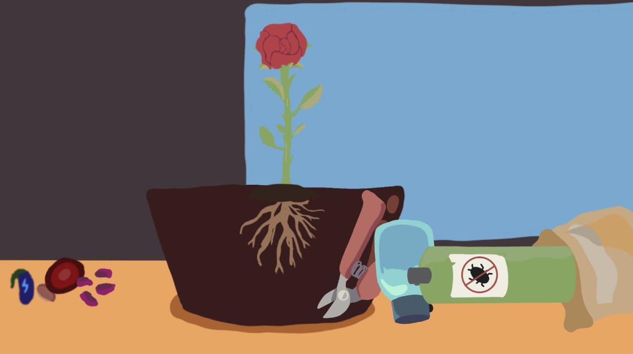 Lifeseeds screenshot 4