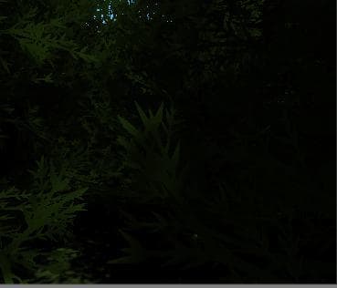 Natures Kingdom screenshot 3
