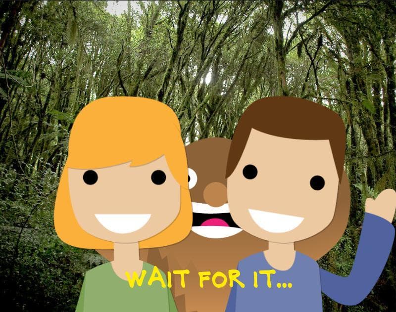 Sassy Sasquatch: Photobomber! screenshot 2