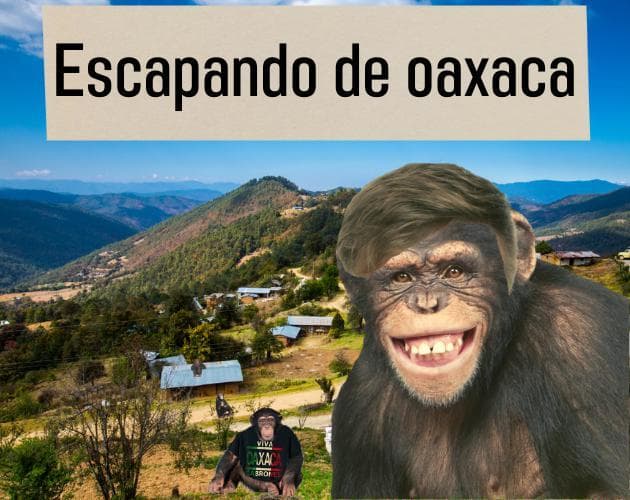 Escapando de oaxaca