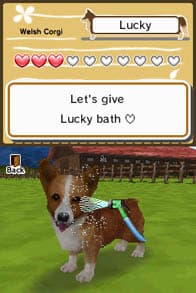 Animal Paradise screenshot 3