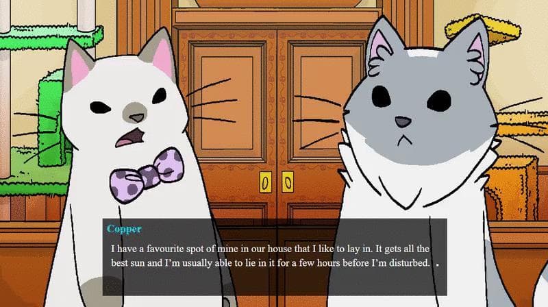 Catroom Drama - Case 2