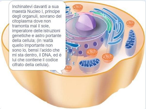 CELLULA PARLANTE