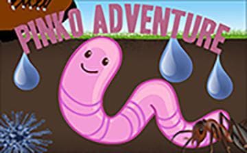 PINKO ADVENTURE