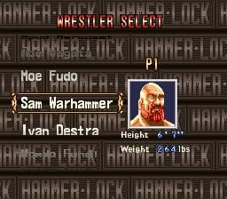 HammerLock Wrestling screenshot 6