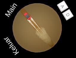 Worm Stay Away