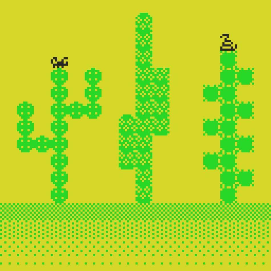 Cactus is Good