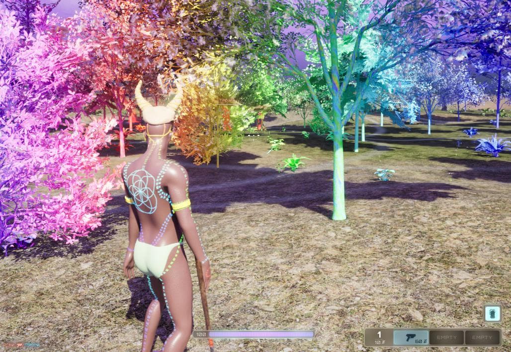 Mystic Forest