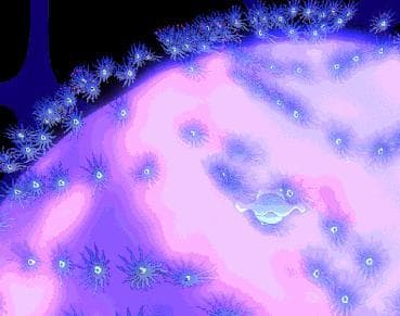 Oceanarium by Paloma Dawkins screenshot 5