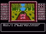 Princess Tomato in the Salad Kingdom (Wii) screenshot 3
