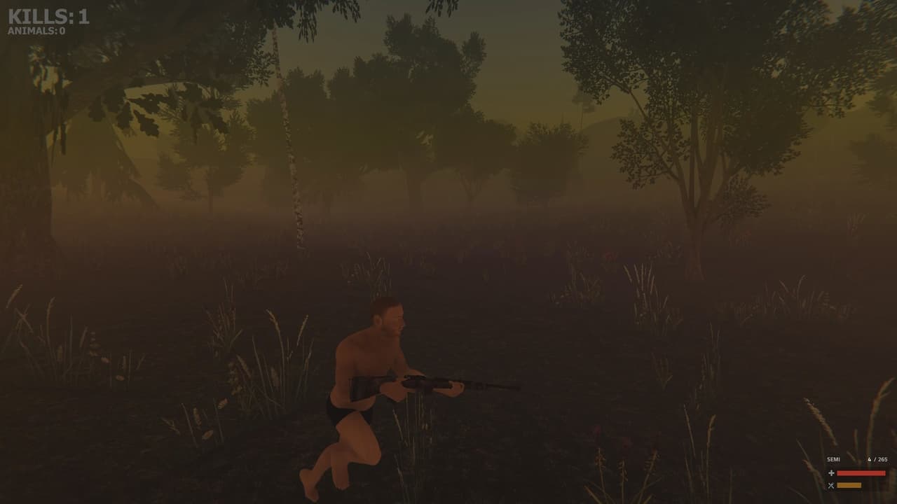 Valley of the foxes screenshot 3