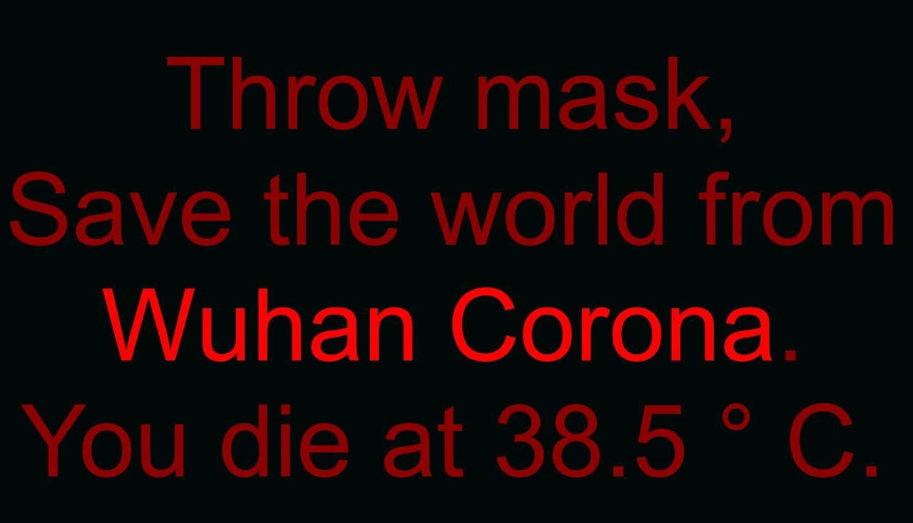 Wuhan CORONA China Virus screenshot 2
