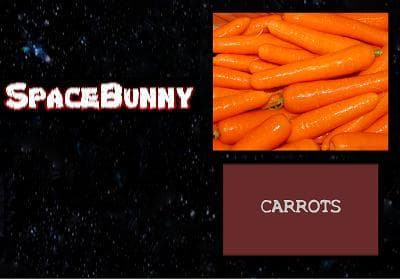 SpaceBunny (alanjpan)
