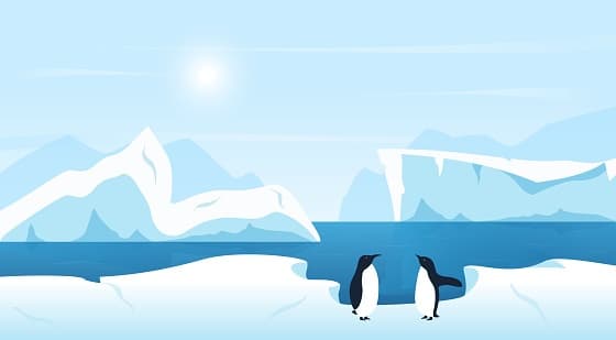 Penguins Cant Fly (CashueTM)
