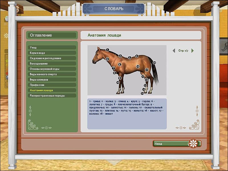 Pferd & Pony: Lass uns reiten 2 screenshot 4