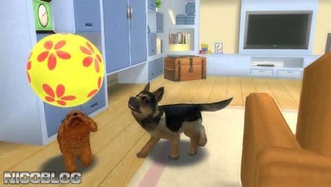 Petz: Dogz Family screenshot 2
