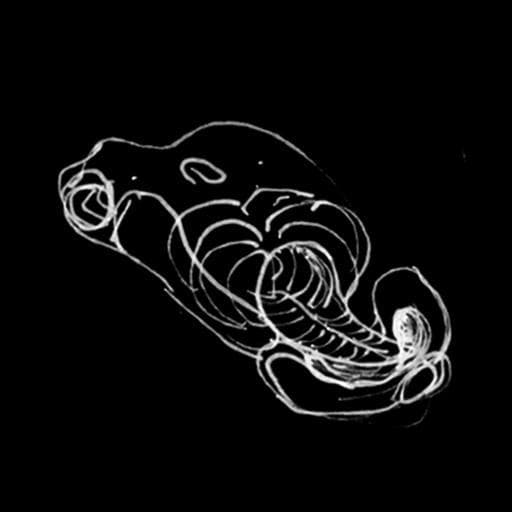 v0.1.0 body (Stellations)