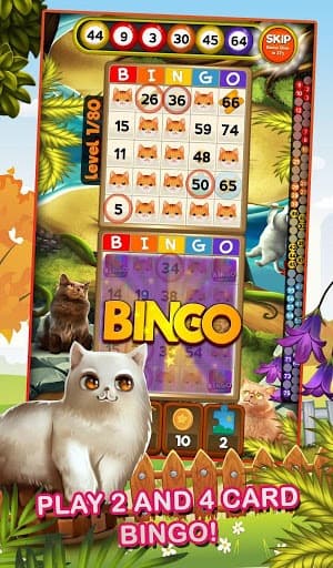 Bingo Pets Mania: Cat Craze screenshot 3
