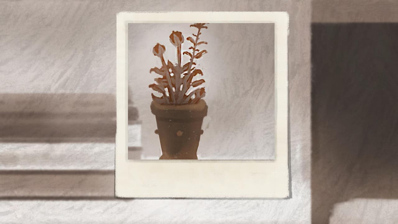 Flowers, photos and pills screenshot 3