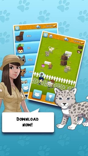 Cat Safari 2