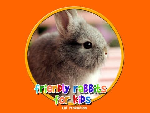 friendly rabbits for kids free