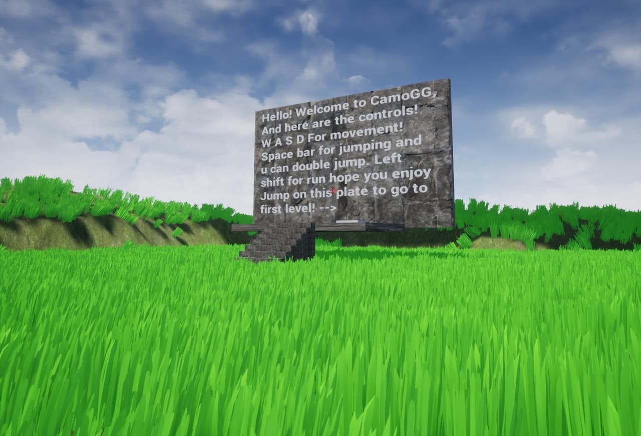 CamoGG screenshot 3