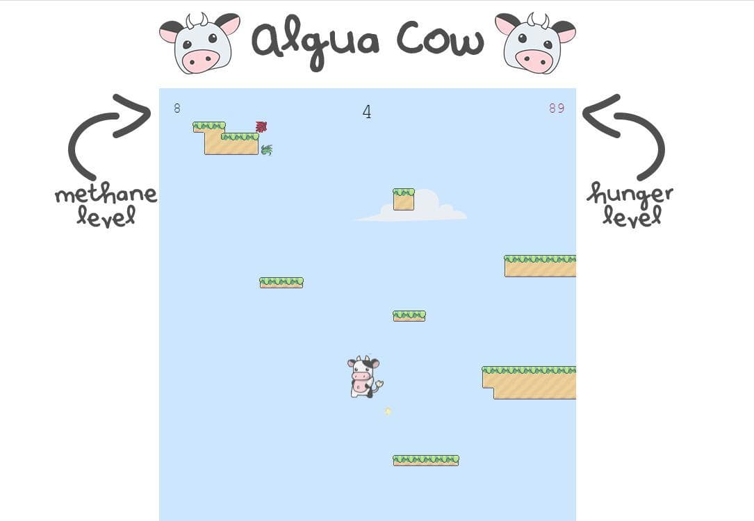 Algua cow