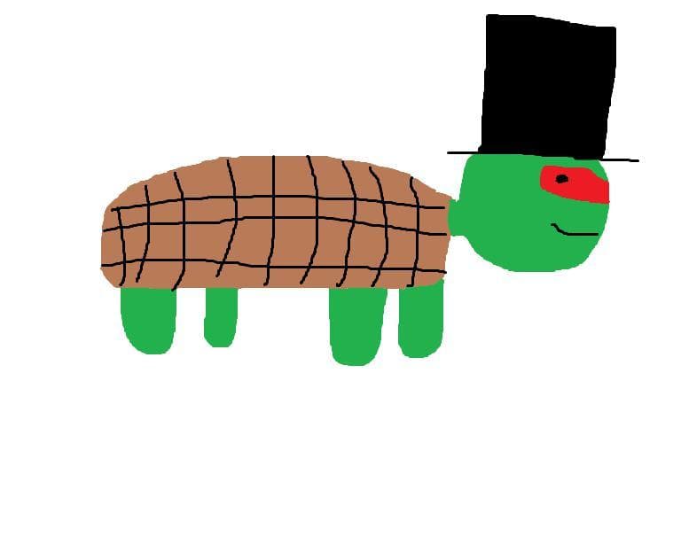 Life As A Turtle