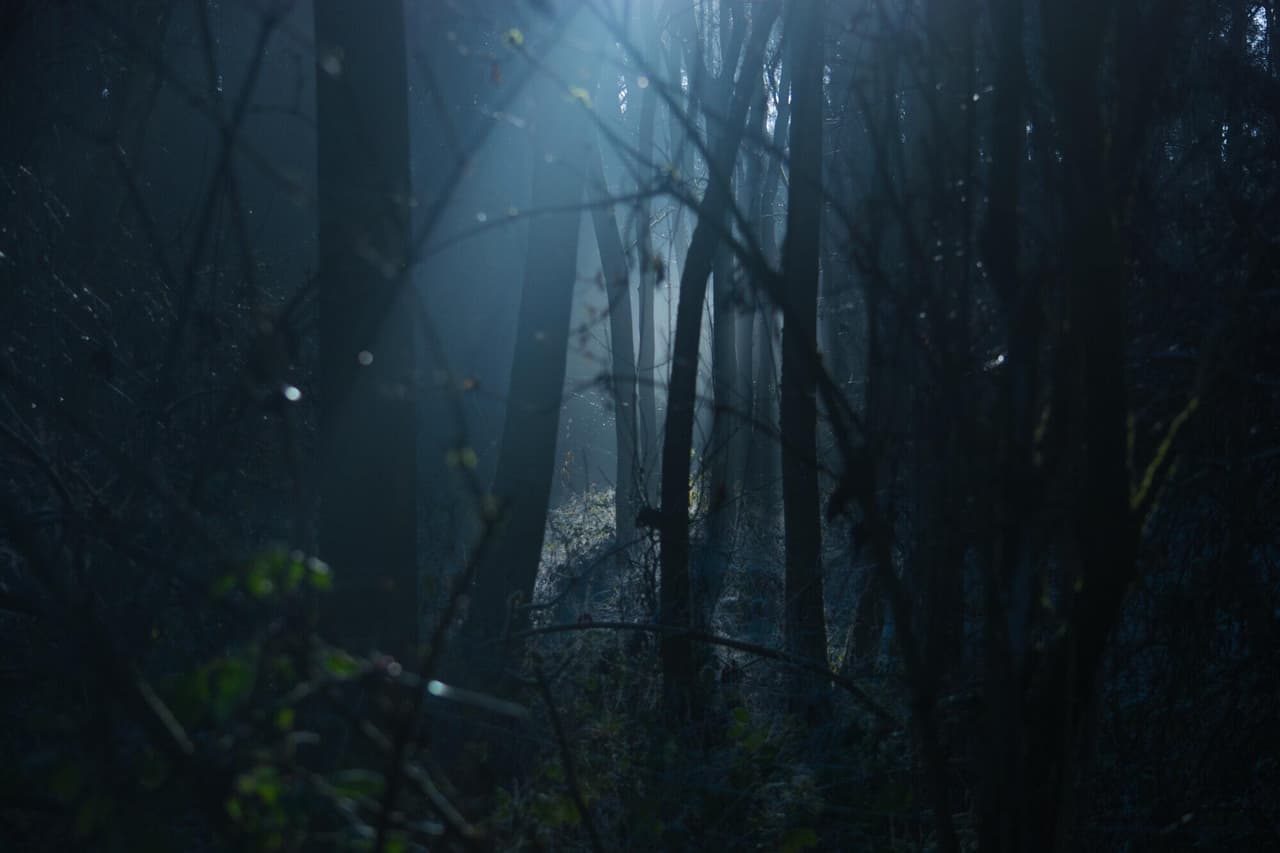 Game Project
