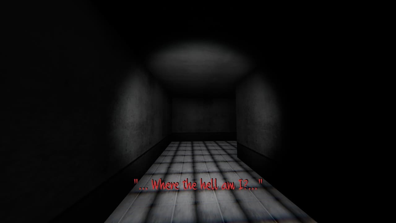 Aorta screenshot 2