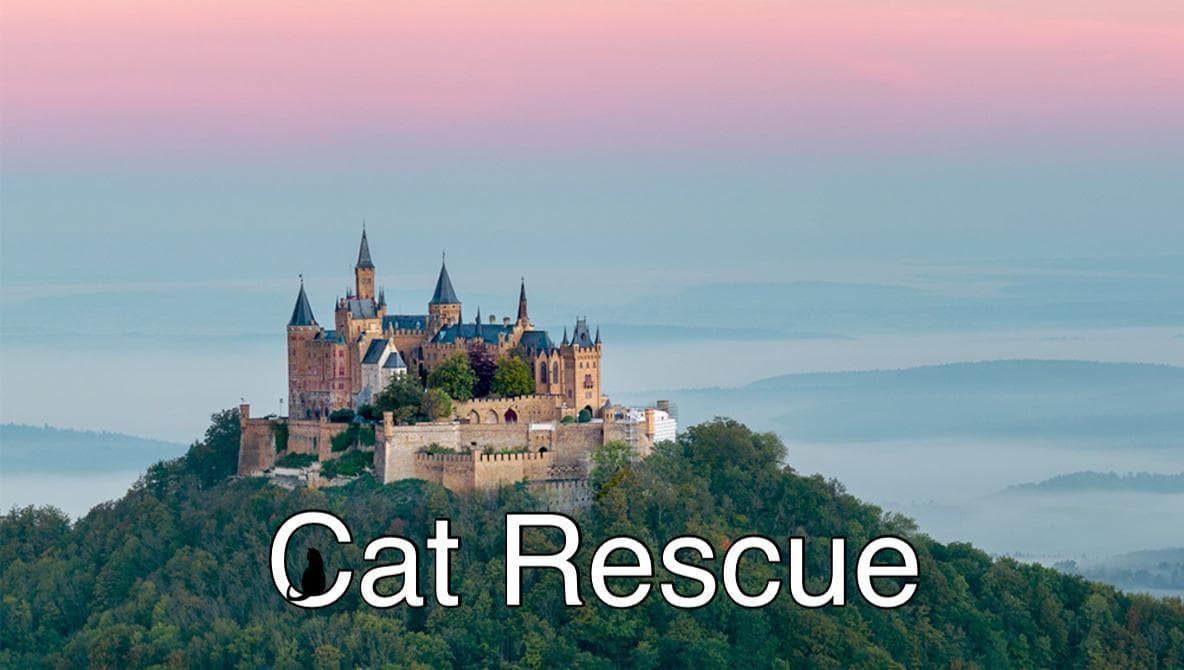 Cat Rescue (Madison)