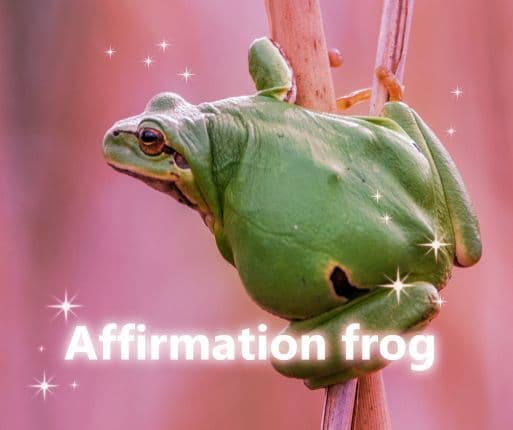 Affirmation Frog