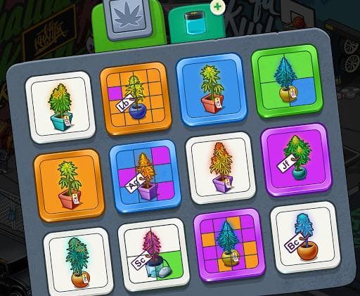 Wiz Khalifas Weed Farm