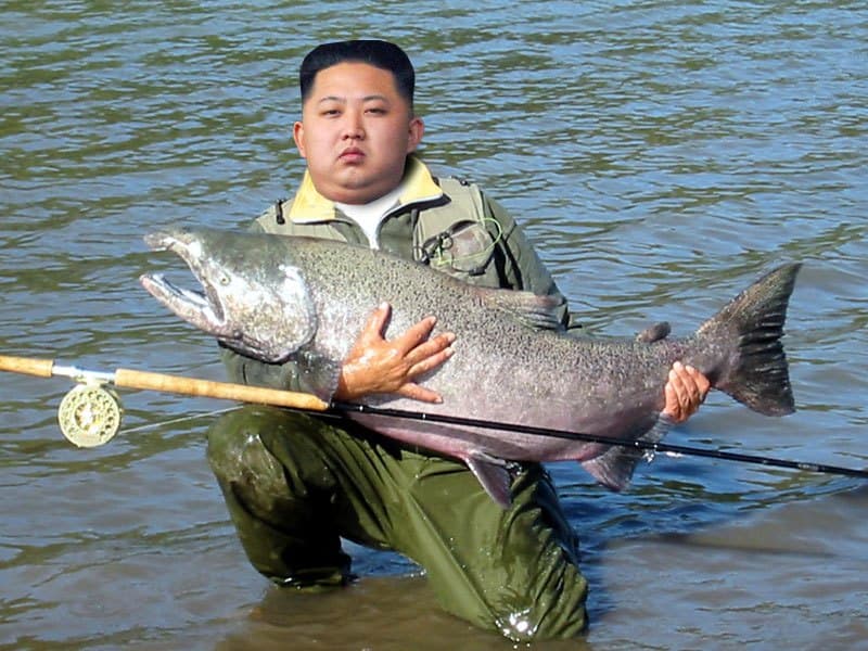 Very Basic Fishing