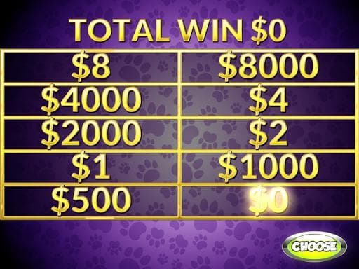 Casino Cash Cats Kitty Slots screenshot 6