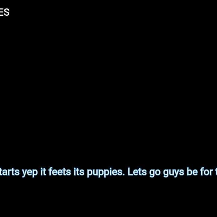 Daddies Boy Volume 1 screenshot 4
