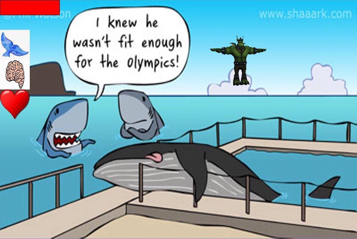 Snaggle The Whale