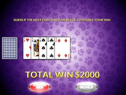 Casino Cash Cats Kitty Slots