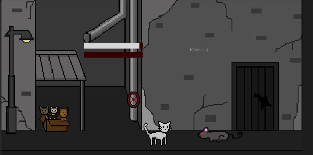 Cats Survivor