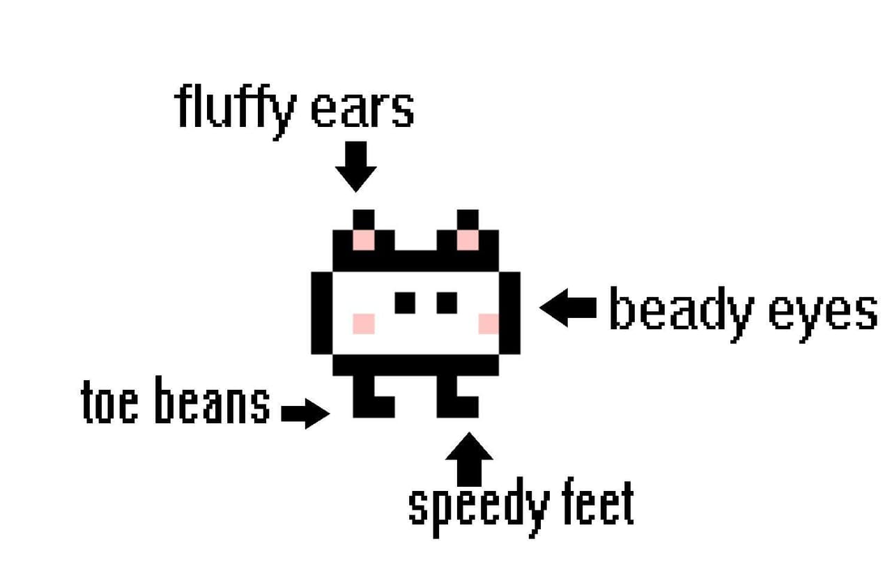You Are A Cat !