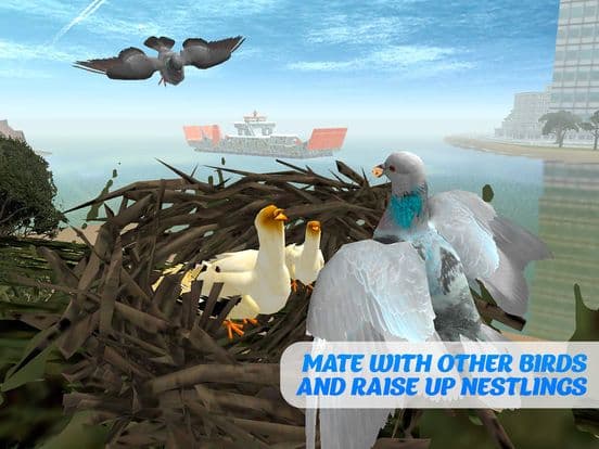 Pigeon Bird Survival Simulator 3D