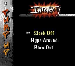 Street Hockey 95 screenshot 5
