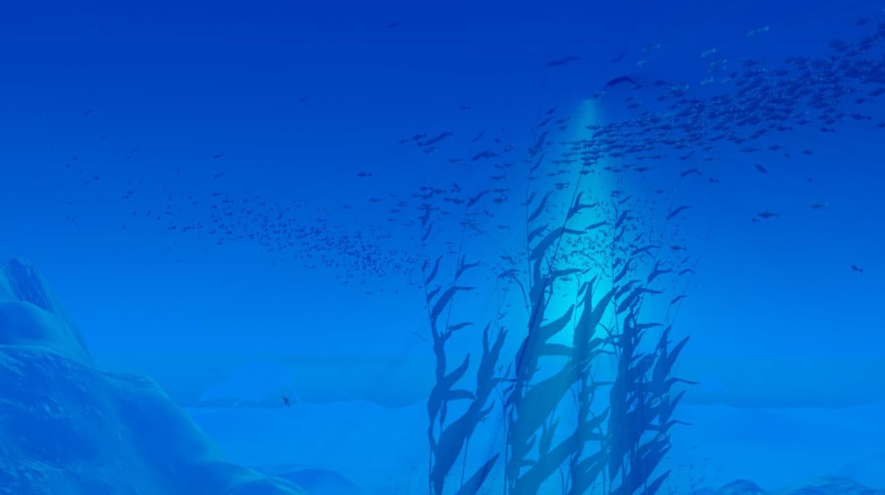 Marine Life screenshot 2