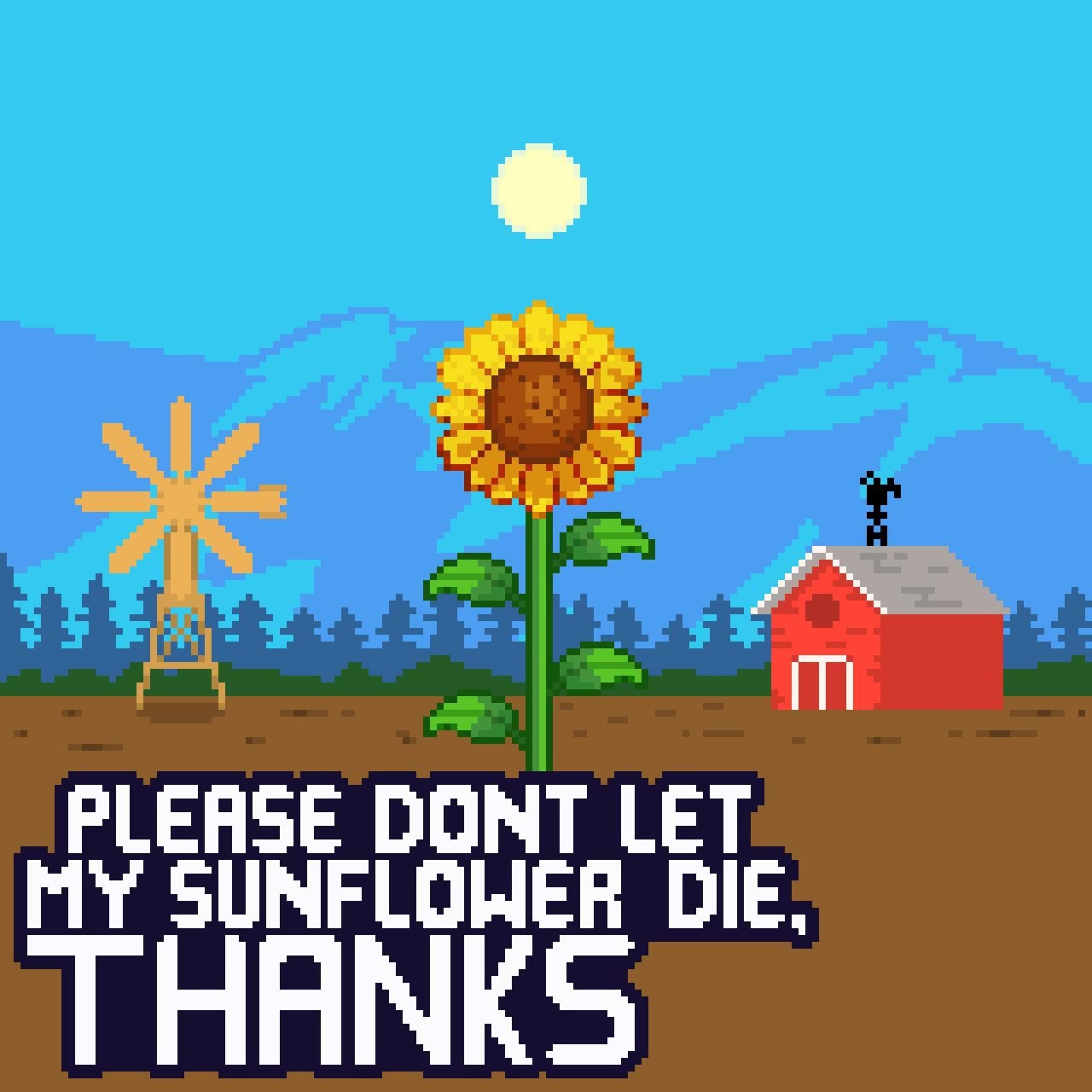 Please Dont Let My Sunflower Die, Thanks.