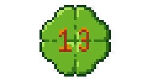 Pub 13