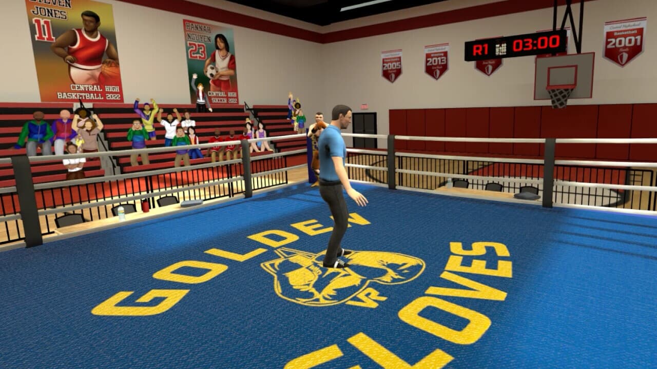 Golden Gloves VR screenshot 3
