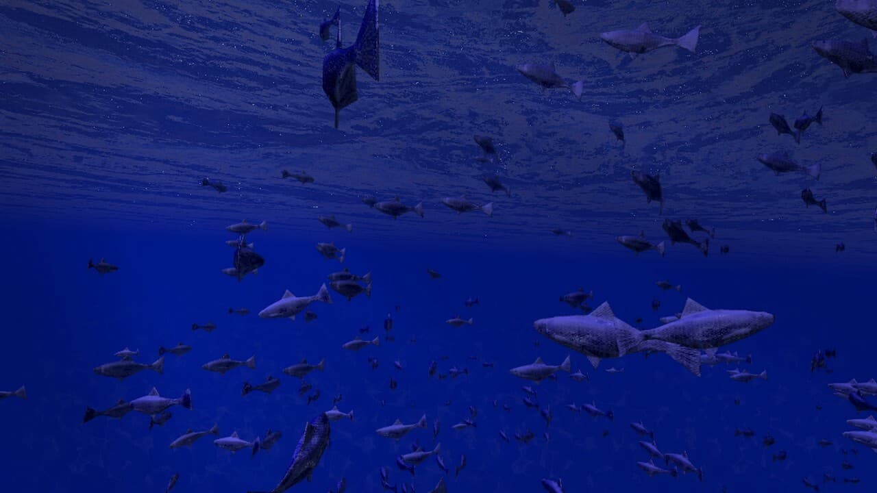 Be a Fish - VR Simulator screenshot 2