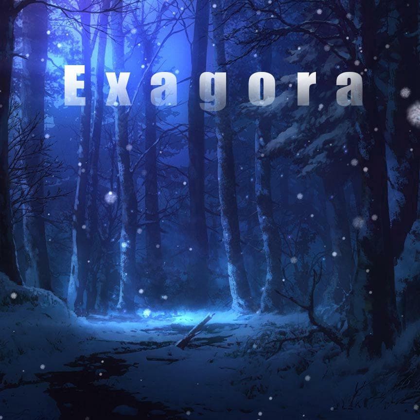 Exagora