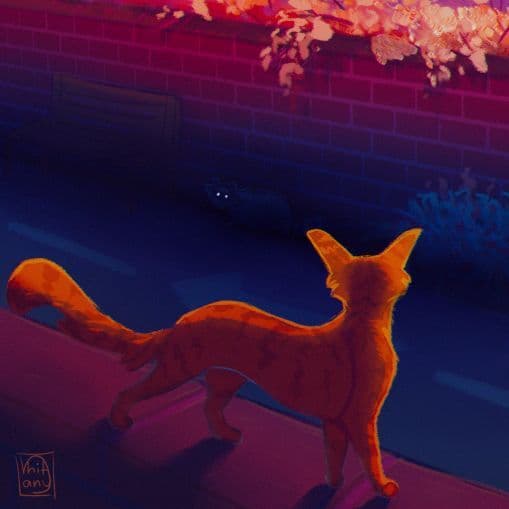 Snaccoon screenshot 4
